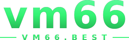 vm66 logo